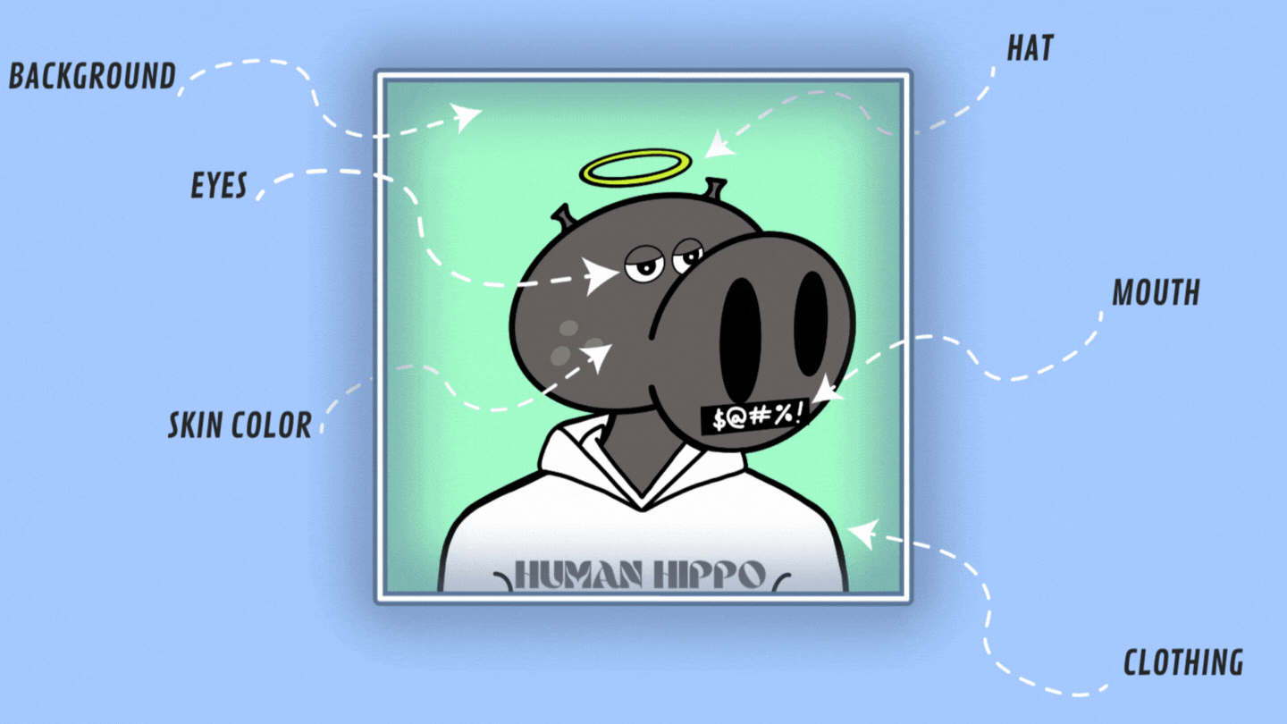 hippo
